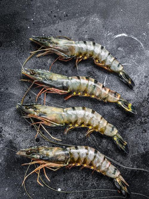 小龍魚黑虎蝦