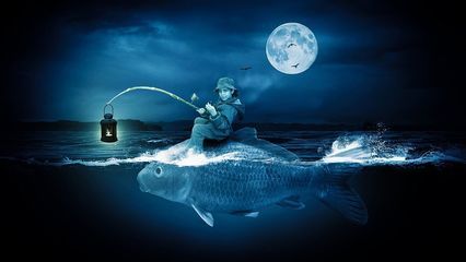 馬拉莫寶石魚混養(yǎng)成功案例：馬拉莫寶石魚與龍魚混養(yǎng)成功案例成功案例未能成功