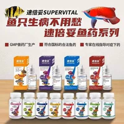 速倍妥飼料與其他品牌的對(duì)比：速倍妥飼料對(duì)龍魚(yú)的特殊作用速倍妥飼料的用戶(hù)評(píng)價(jià)匯總