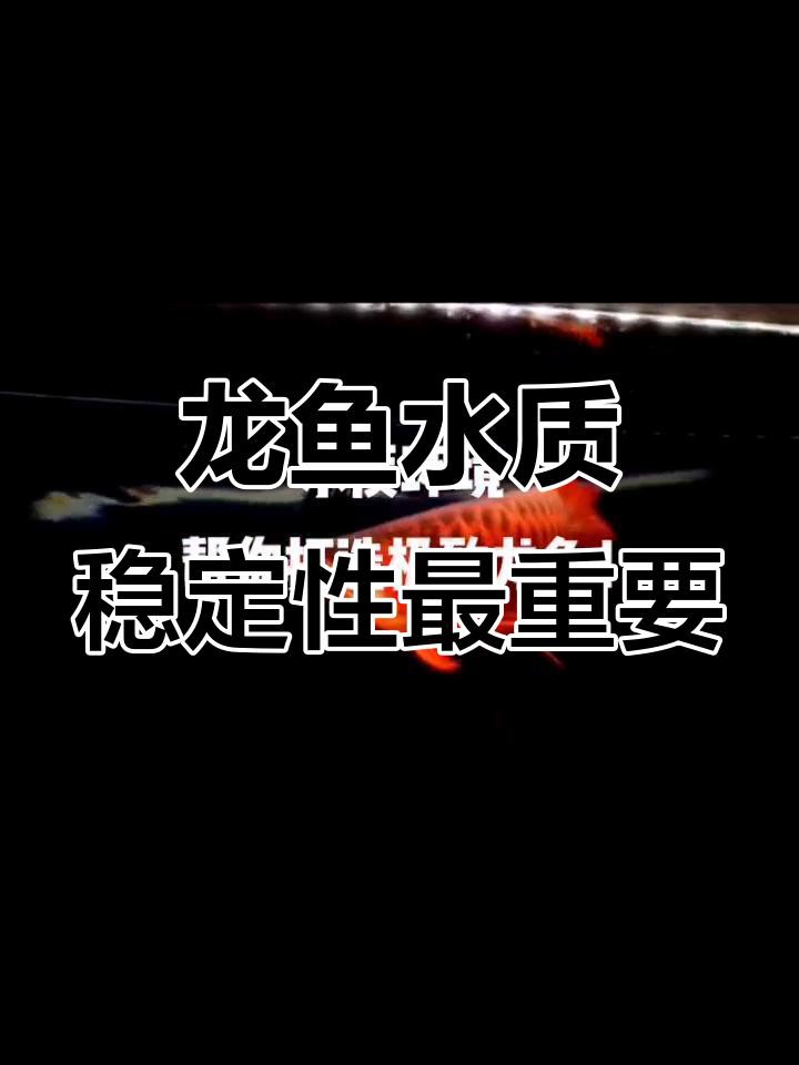 金龍魚養殖需要什么樣的水質？