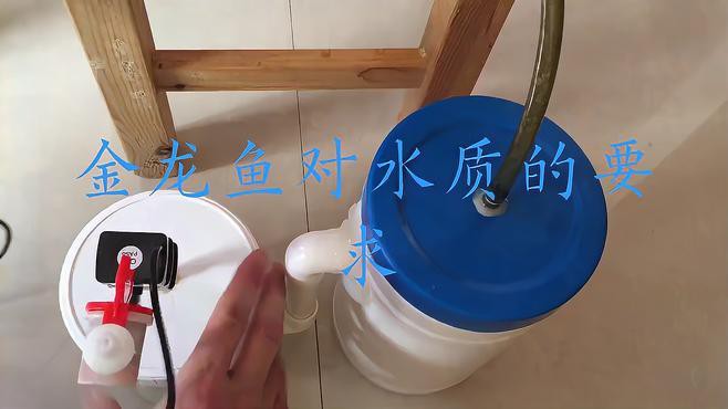 金龍魚養殖需要什么樣的水質？