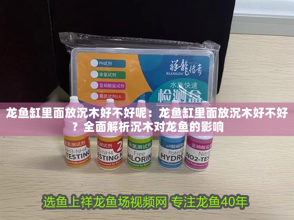 龍魚缸里面放沉木好不好呢：龍魚缸里面放沉木好不好？全面解析沉木對龍魚的影響