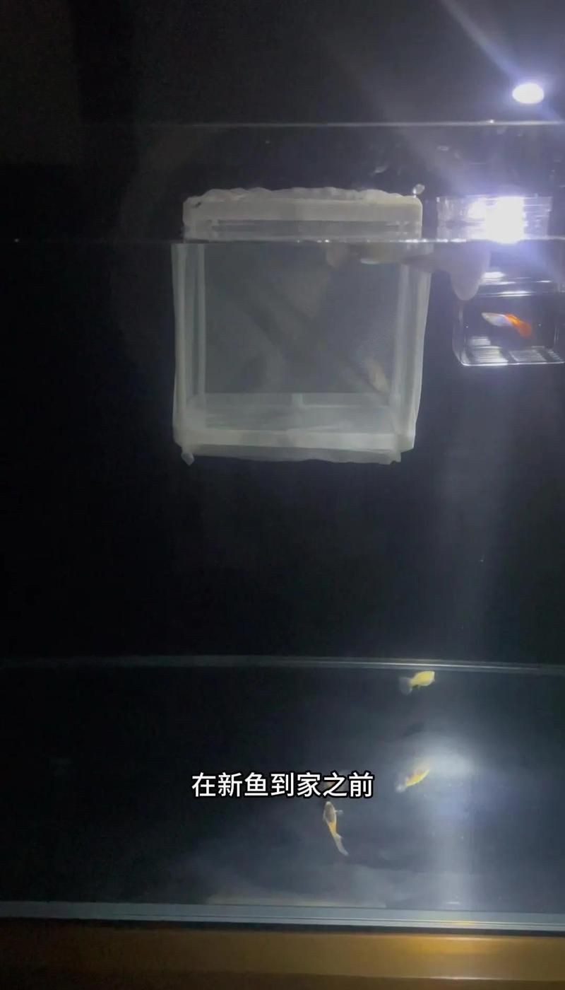魚交叉感染了放土霉素可以嗎