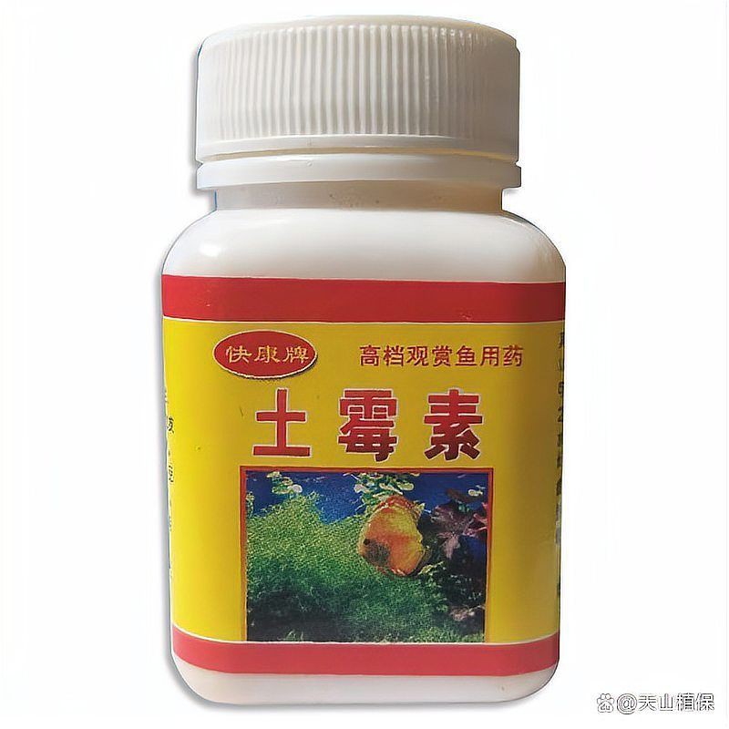 魚交叉感染了放土霉素可以嗎