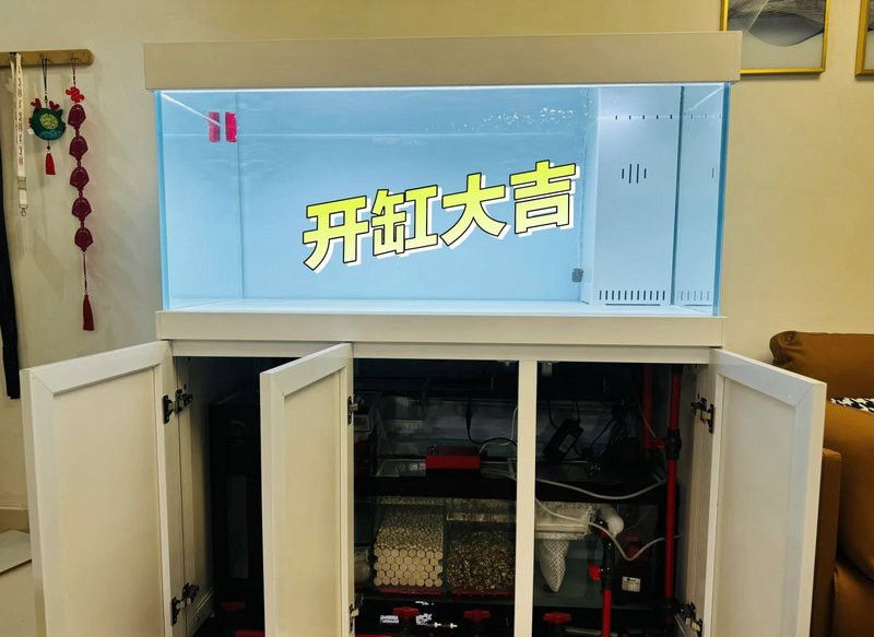 能推薦幾款適合養(yǎng)紅龍魚的魚缸嗎？