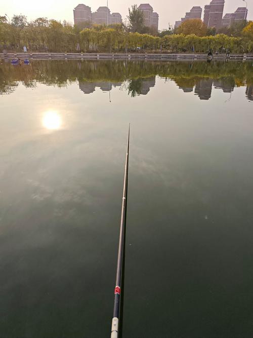 哈爾濱龍魚灣垂釣園電話號