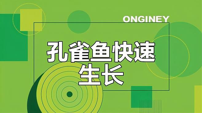 如何判斷孔雀龍魚的年齡？