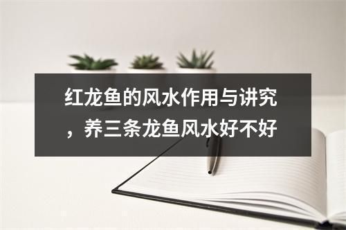 紅龍魚對情緒的影響：紅龍魚對情緒的影響主要體現(xiàn)在養(yǎng)殖環(huán)境的設(shè)置、觀賞價值等方面 紅龍魚對情緒的影響：紅龍魚對情緒的影響主要體現(xiàn)在養(yǎng)殖環(huán)境的設(shè)置、觀賞價值等方面 龍魚百科 第4張