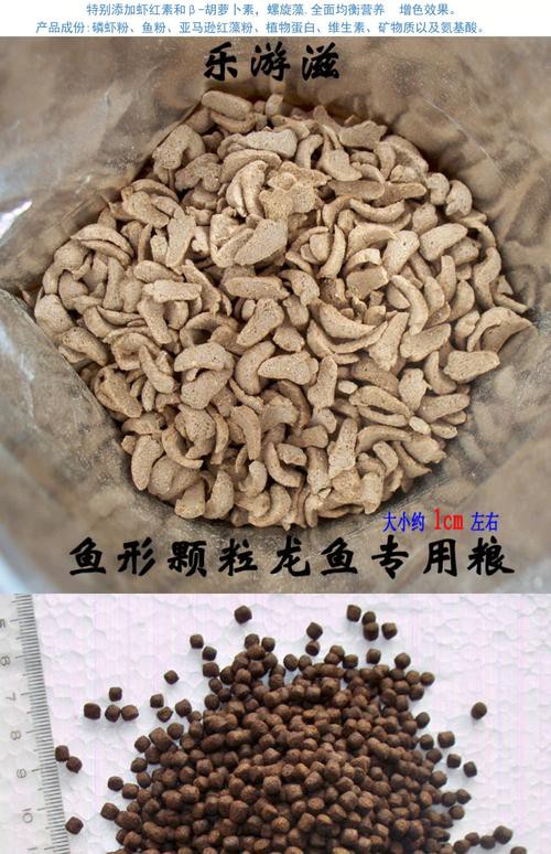 小銀龍魚怎么養(yǎng)及喂養(yǎng)技巧圖解