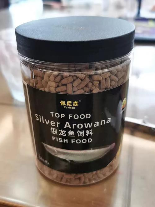 小銀龍魚怎么養(yǎng)及喂養(yǎng)技巧圖解