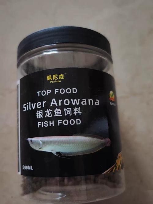 小銀龍魚怎么養(yǎng)及喂養(yǎng)技巧圖解