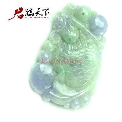 紫羅蘭龍魚：南美魚鰭龍與紫羅蘭龍的區別