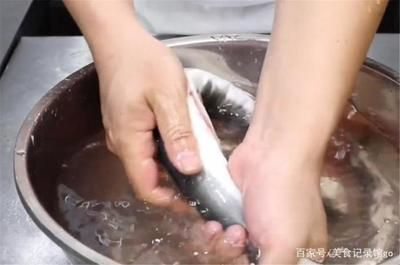 盤龍魚怎么改刀（盤龍魚的改刀方法） 盤龍魚怎么改刀（盤龍魚的改刀方法） 龍魚百科 第1張