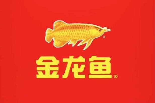 金色銀龍魚價格多少錢一條圖片 金色銀龍魚價格多少錢一條圖片 龍魚百科 第7張