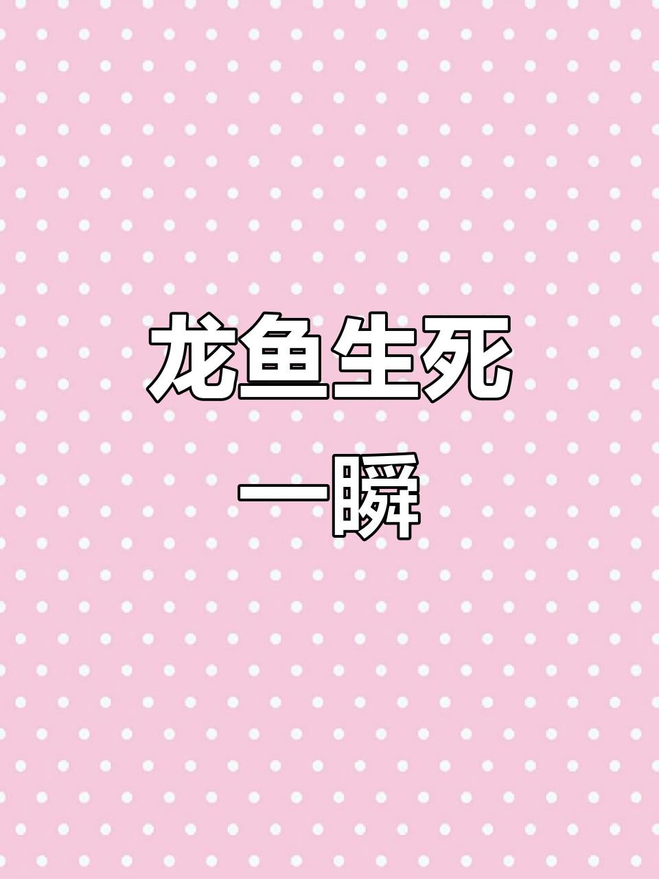 捕捉后如何快速給金龍魚充氧？ 捕捉后如何快速給金龍魚充氧？ 龍魚百科 第4張