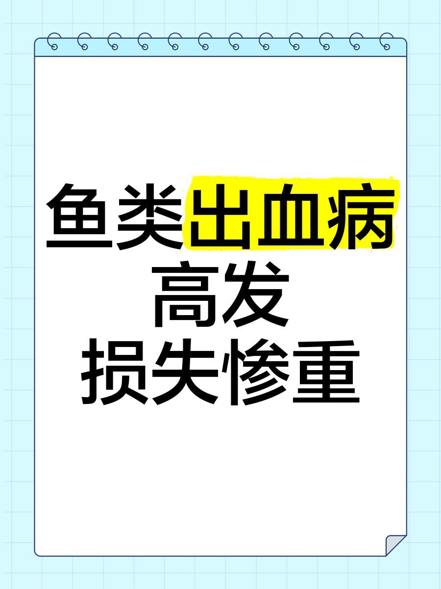 魚充血的死亡率有多高？