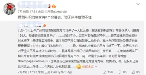 龍魚(yú)商家被抓怎么辦，龍魚(yú)商家可以通過(guò)法律訴訟維權(quán)：龍魚(yú)商家被抓了怎么辦？