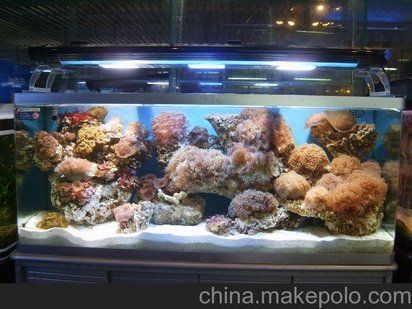 柳州魚缸定做，柳州水族魚缸定做