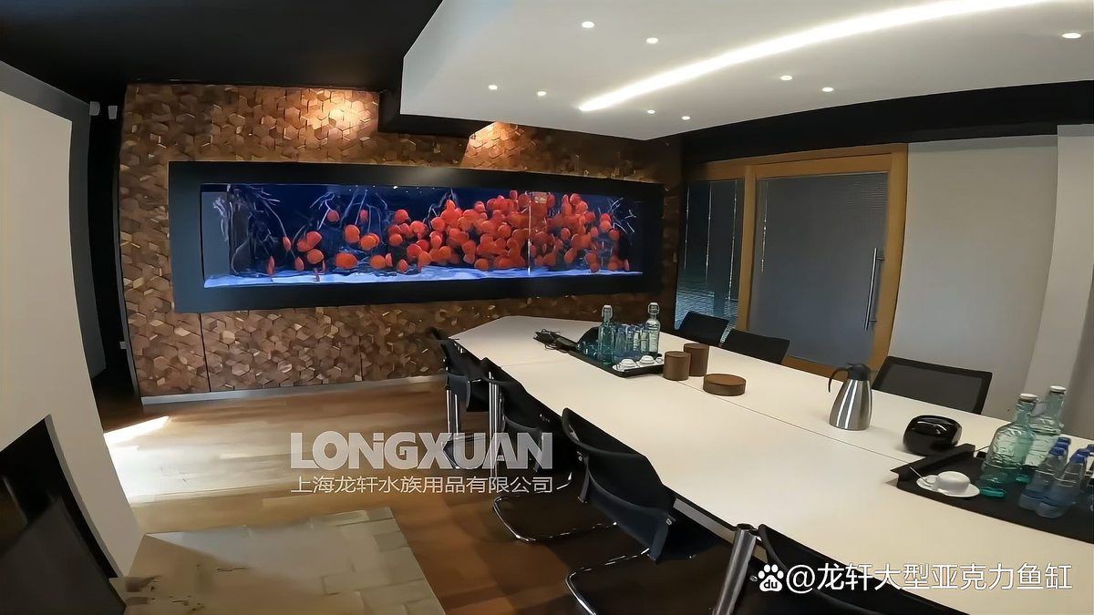 柳州魚缸定做，柳州水族魚缸定做