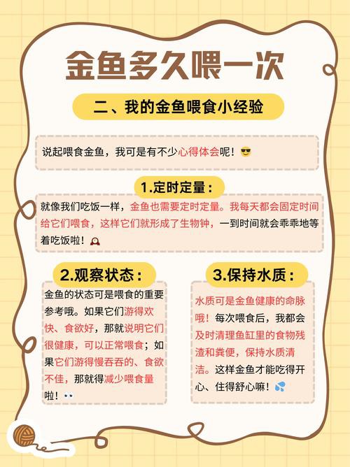 金龍魚幾天喂一次比較好？