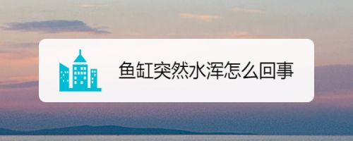魚缸水突然渾濁怎么回事視頻大全（如何判斷硝化系統崩潰魚缸過濾器選擇指南魚缸光照管理技巧魚缸水質檢測方法）