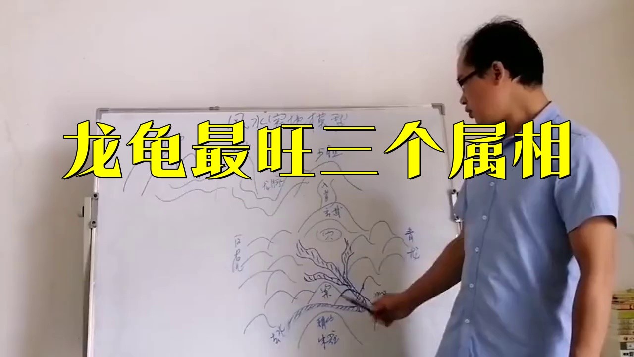 龍龜適合哪些生肖佩戴？