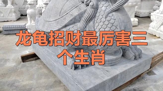 龍龜適合哪些生肖佩戴？