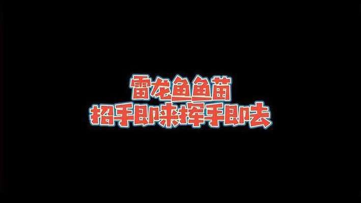 雷龍魚苗品種大全（世界上最大的雷龍魚品種雷龍魚品種大全）