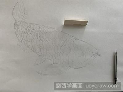 龍魚吃什么上色快又好看圖片大全：龍魚上色快又好看圖片大全 龍魚吃什么上色快又好看圖片大全：龍魚上色快又好看圖片大全 龍魚百科 第3張