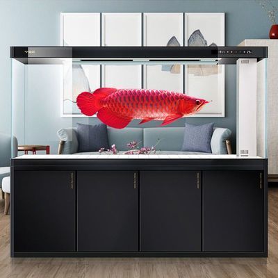 拼多多龍魚是真的嗎（拼多多龍魚真偽的更多信息可以嘗試通過以下渠道獲取）
