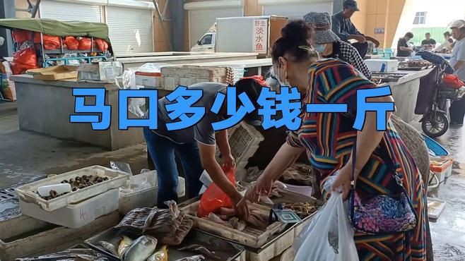 馬口魚市場(chǎng)價(jià)多少錢一斤