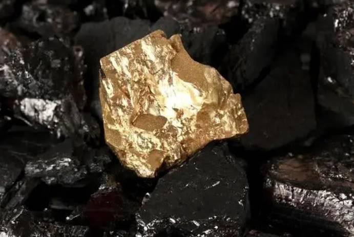 哪些品種的24K龍魚最受歡迎？ 哪些品種的24K龍魚最受歡迎？ 龍魚百科 第11張