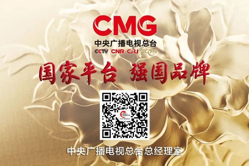 金龍魚與央視的合作細節是什么？