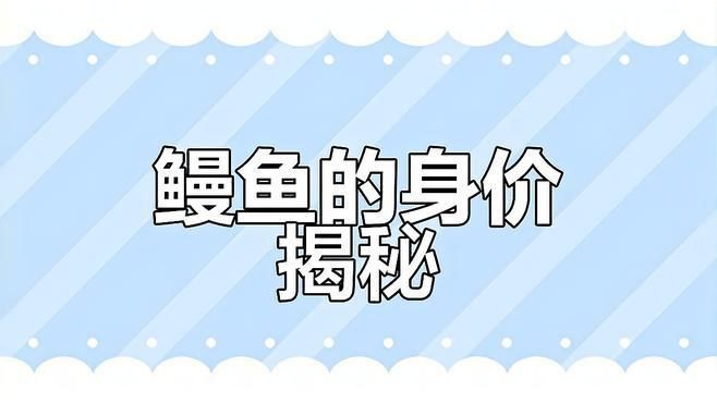 鰻魚為什么那么貴