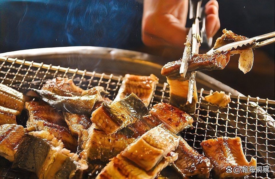 鰻魚為什么那么貴