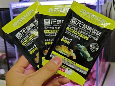 性價比高的雷龍魚飼料品牌推薦