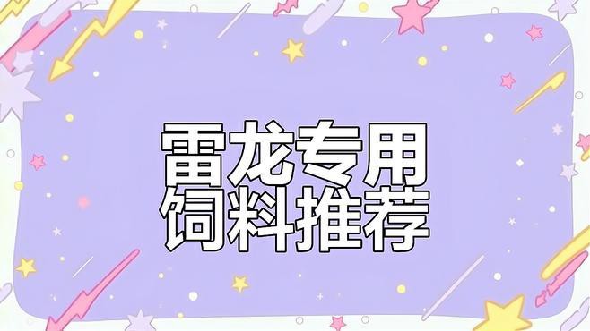 性價比高的雷龍魚飼料品牌推薦