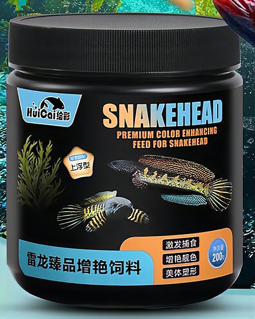 性價比高的雷龍魚飼料品牌推薦