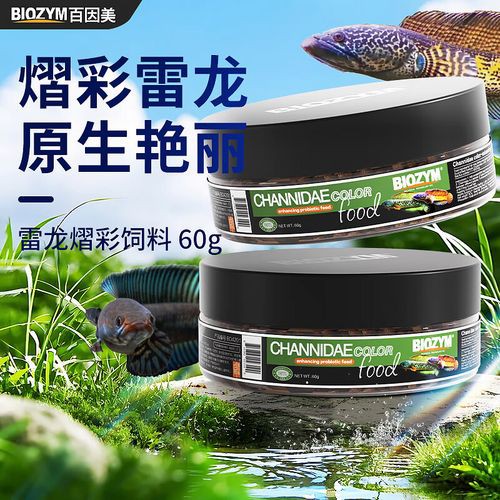 性價比高的雷龍魚飼料品牌推薦