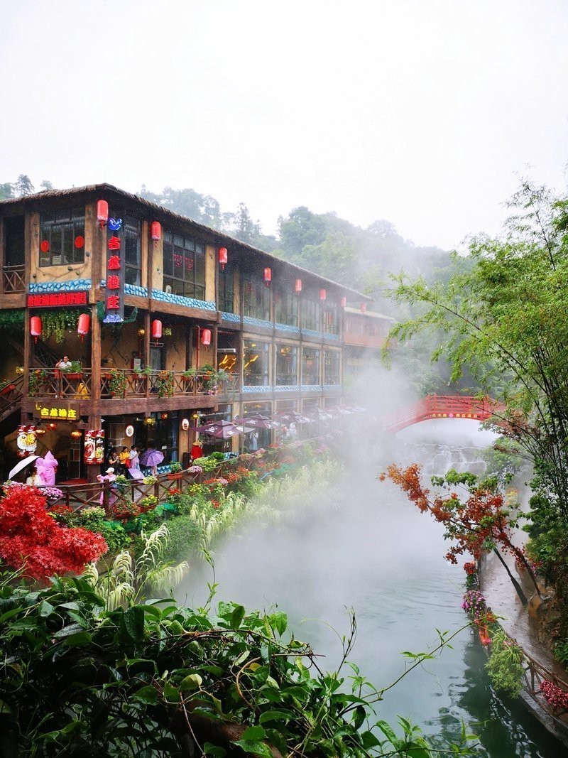 清遠市古龍魚莊在哪里啊電話