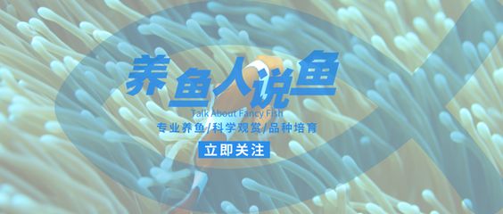 龍魚(yú)專(zhuān)用飼料配方表最新版下載：尋找關(guān)于龍魚(yú)專(zhuān)用飼料配方表最新版的信息：龍魚(yú)飼料配方表
