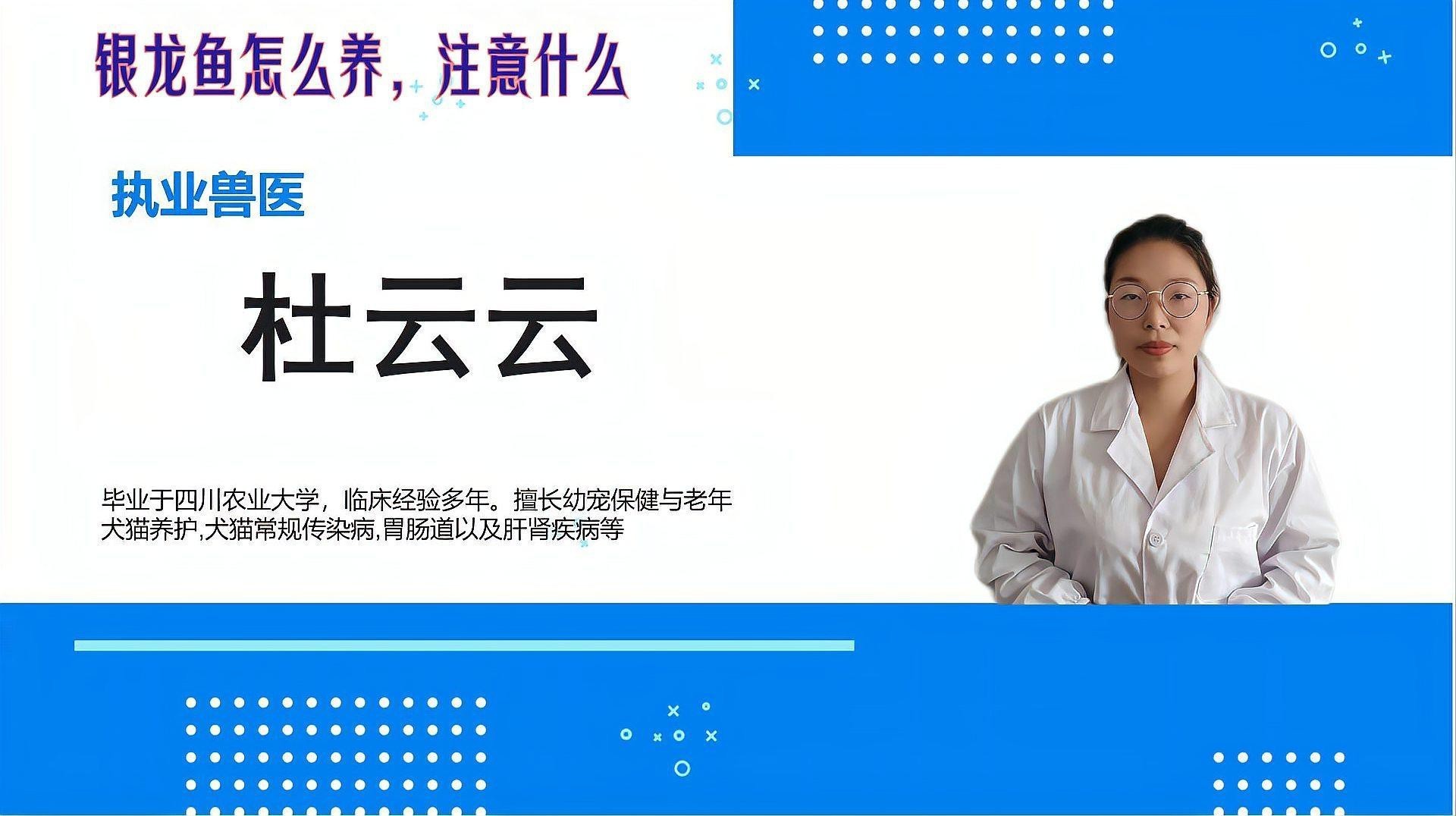 養銀龍魚的注意事項和禁忌有哪些