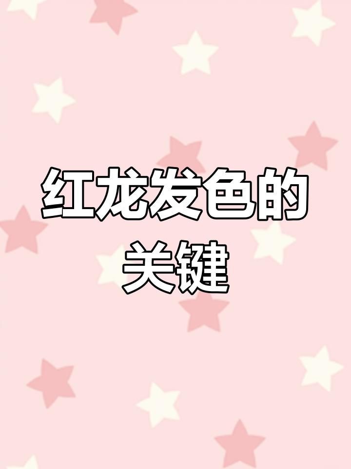 紅龍飲食對發色的影響