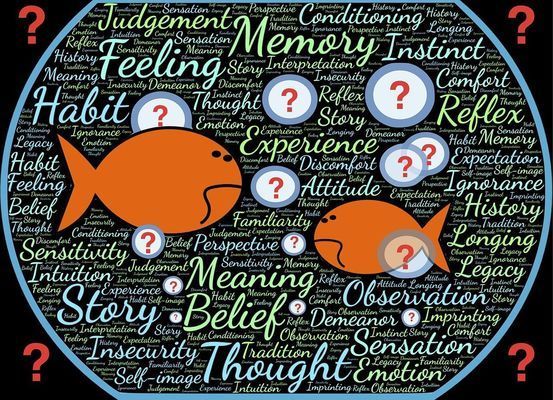 龍魚風(fēng)水搭配圖：龍魚在風(fēng)水學(xué)中的搭配圖