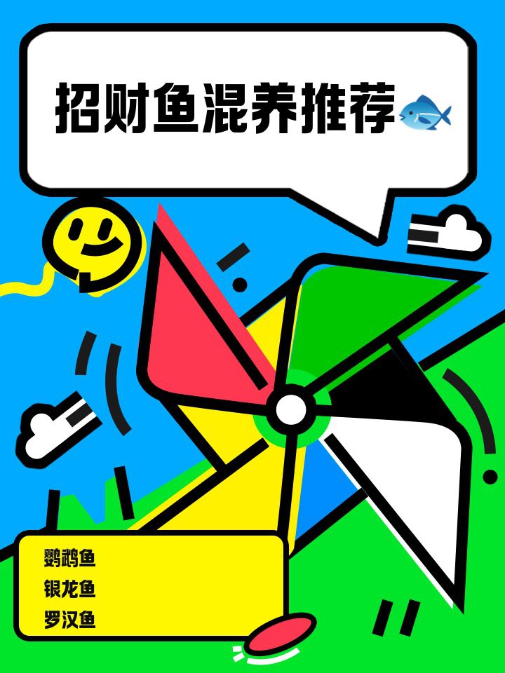 招財魚可以跟銀龍魚一起養(yǎng)嗎