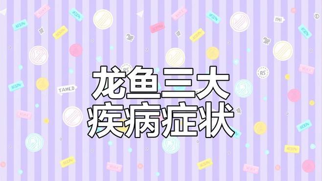 紅龍魚有哪些常見疾病