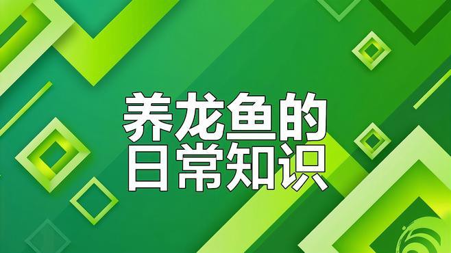 龍魚養(yǎng)殖中常見的問題及解決方法