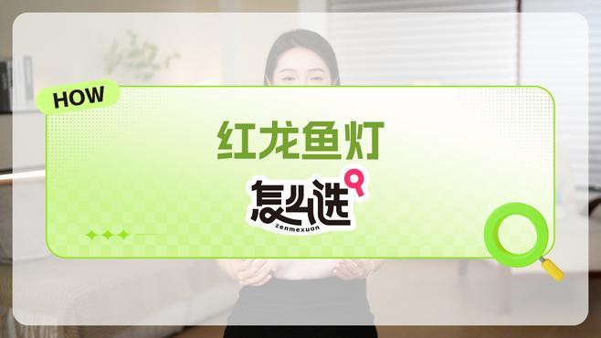 如何為紅龍魚選擇合適的燈光？