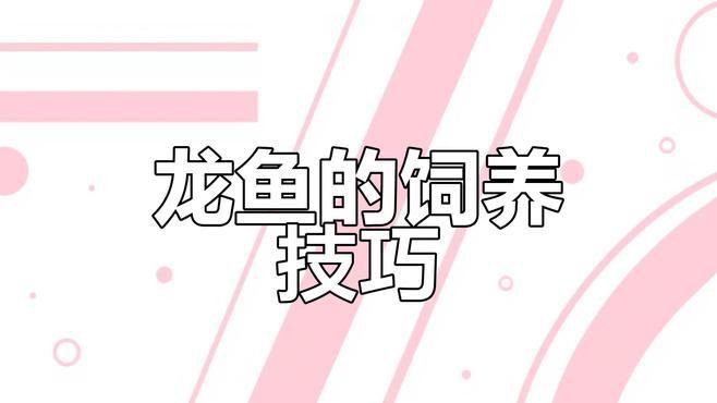 金龍魚用什么燈照比較好 金龍魚用什么燈照比較好 龍魚百科 第9張