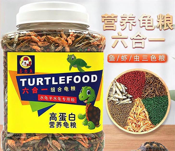 金龍魚飼料可以喂龜嗎？